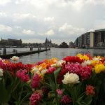 Фестиваль тюльпанов в Амстердаме 2017