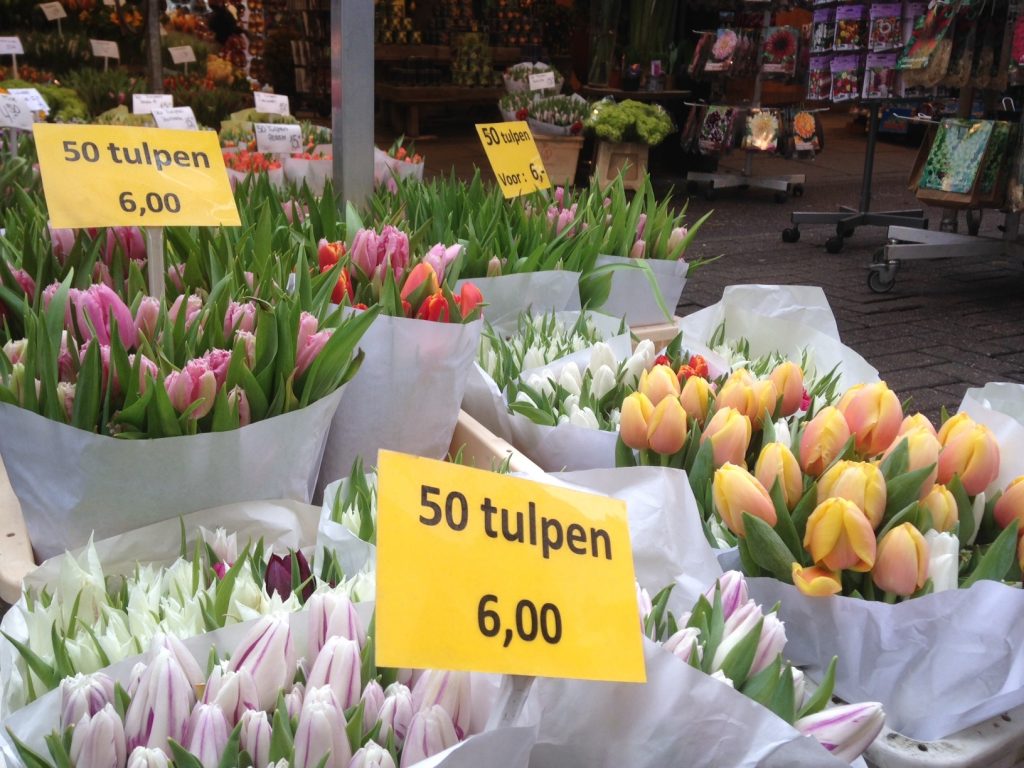Цветочный рынок в Амстердаме, цены на тюльпаны