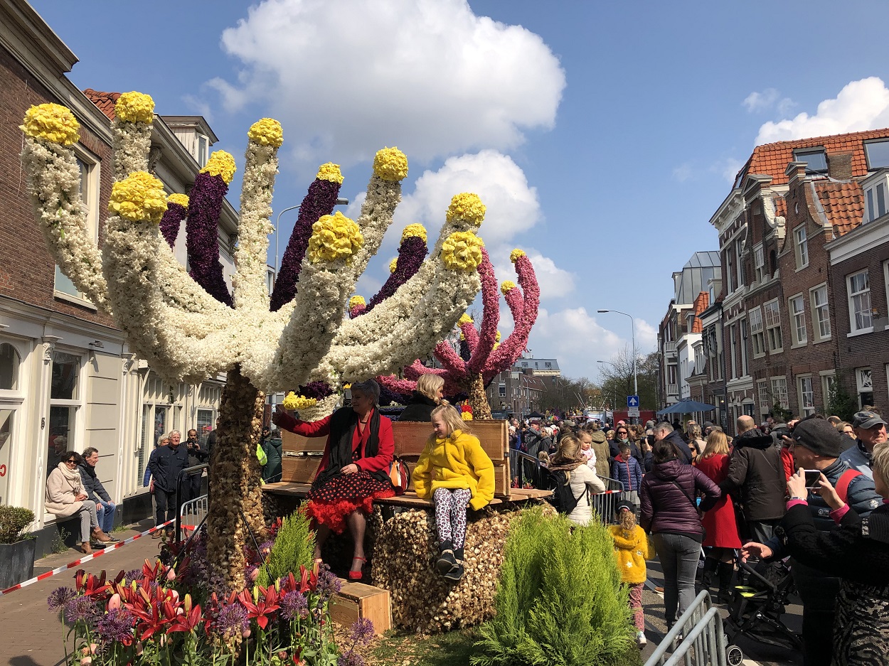 Парад цветов, фестиваль цветов в Нидерландах 2022