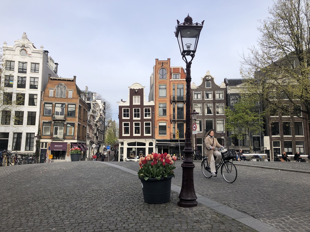 Tulips festival Amsterdam 2022