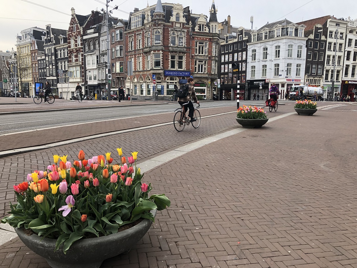 Фестиваль тюльпанов Амстердам