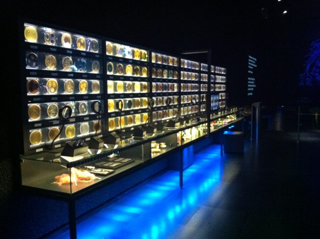 Купить билеты в музей микробов в Амстердаме