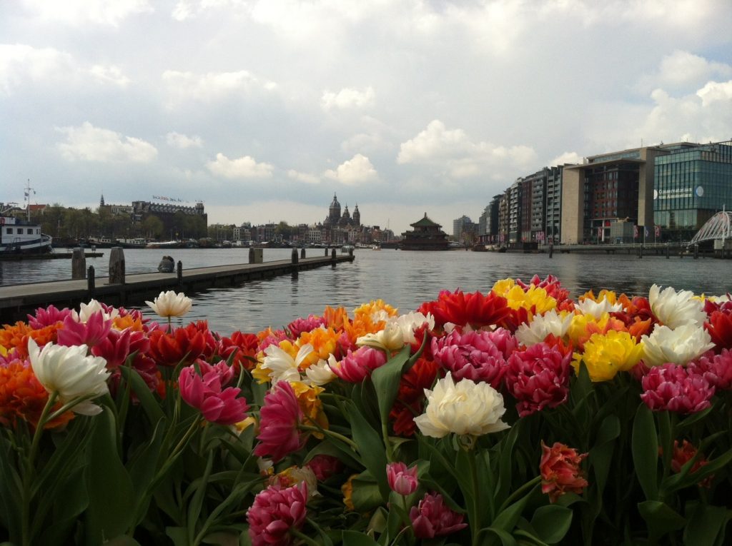 Фестиваль тюльпанов в Амстердаме 2017