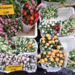 Цветочный рынок в Амстердаме, фото тюльпанов
