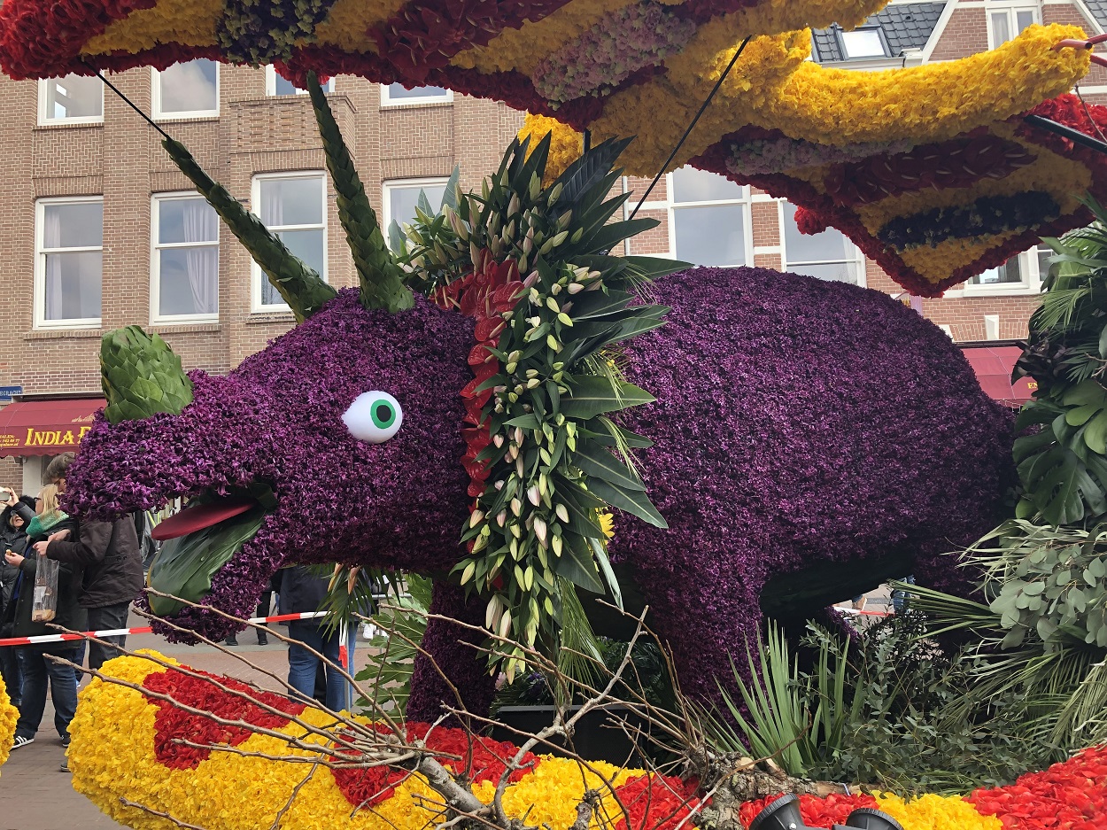 Фестиваль цветов, парад цветов, парад тюльпанов в Нидерландах
