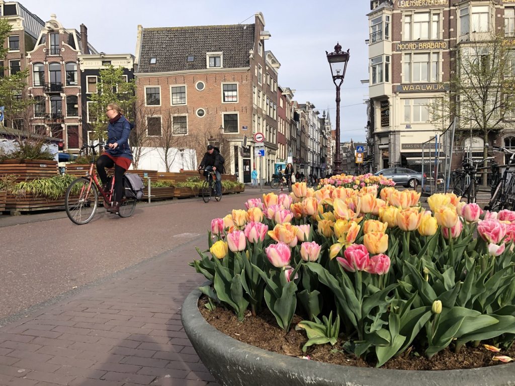 Фестиваль тюльпанов Амстердам