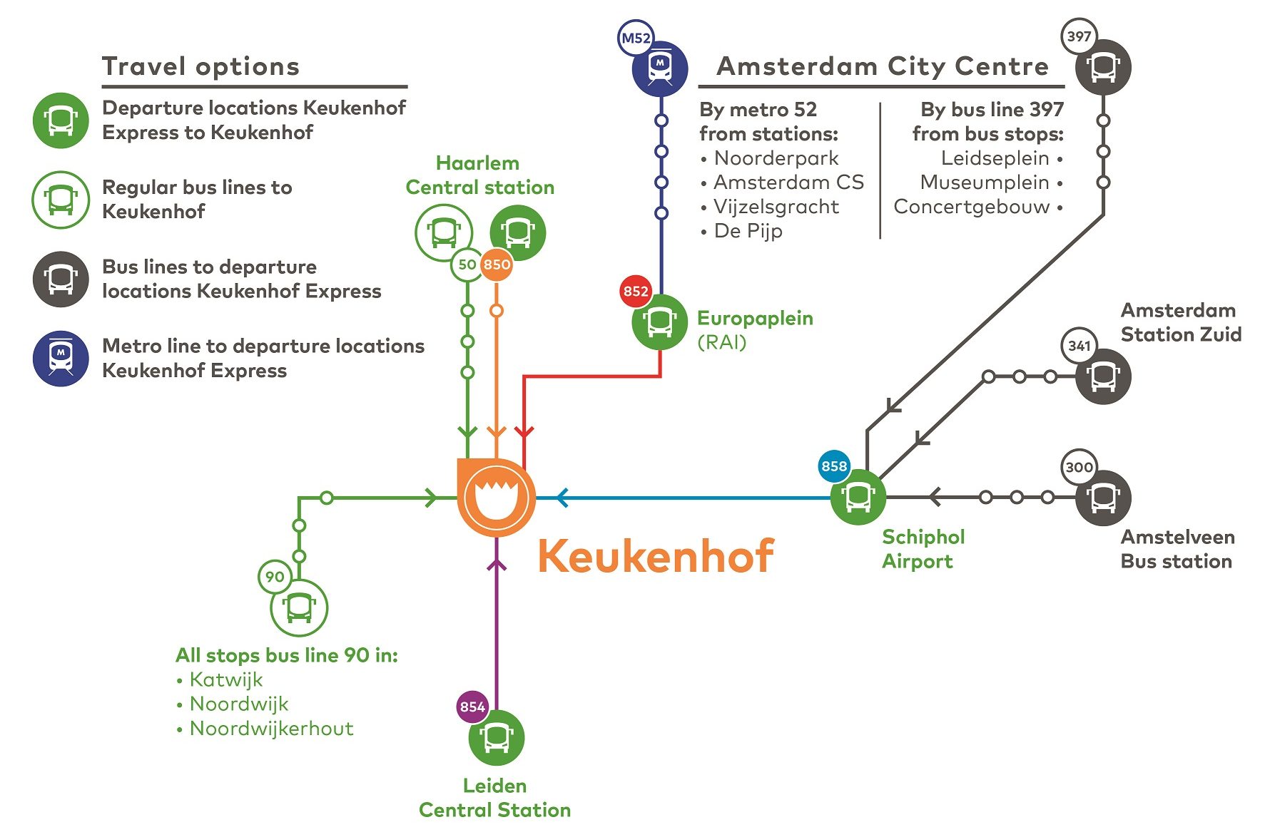 Из Амстердама в Кекенхоф на рейсовых автобусах. Схема движения транспорта в 2024 году