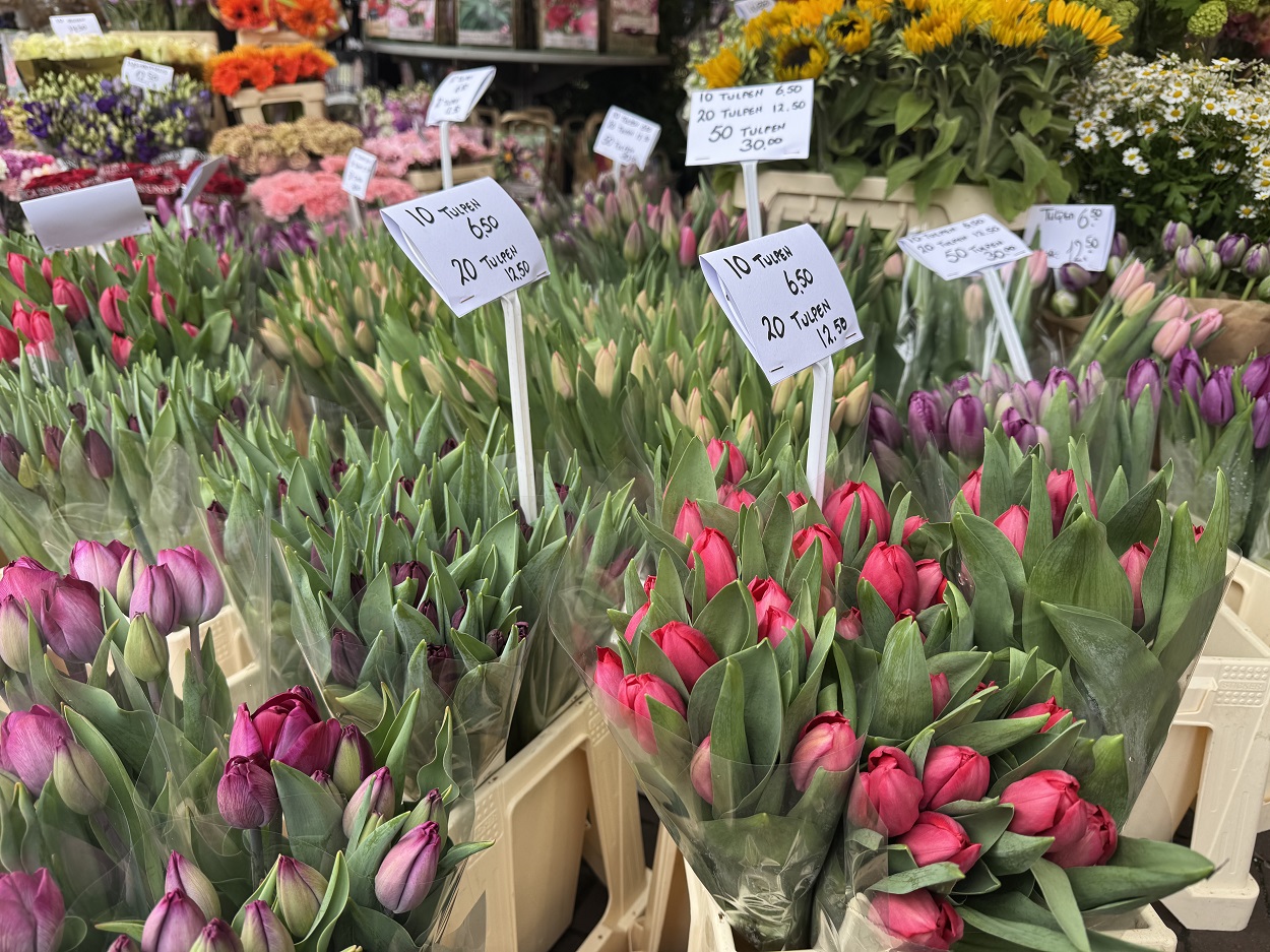 Цветочный рынок Амстердама