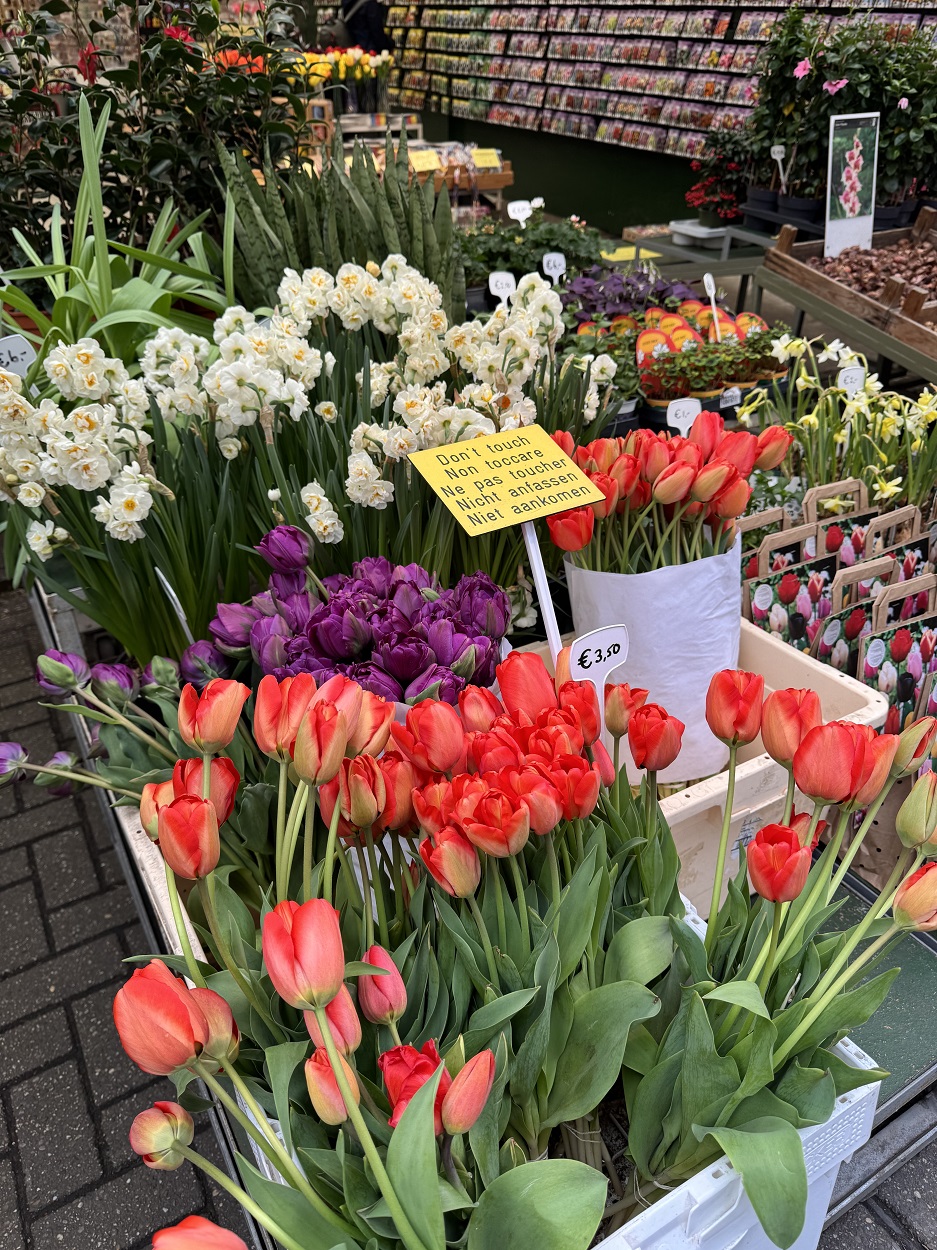 Bloemenmarkt в Амстердаме