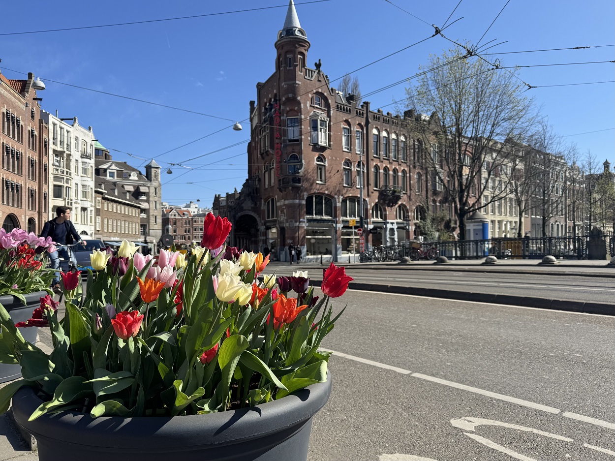 Фестиваль тюльпанов 2026 в Амстердаме возле отеля Nadia